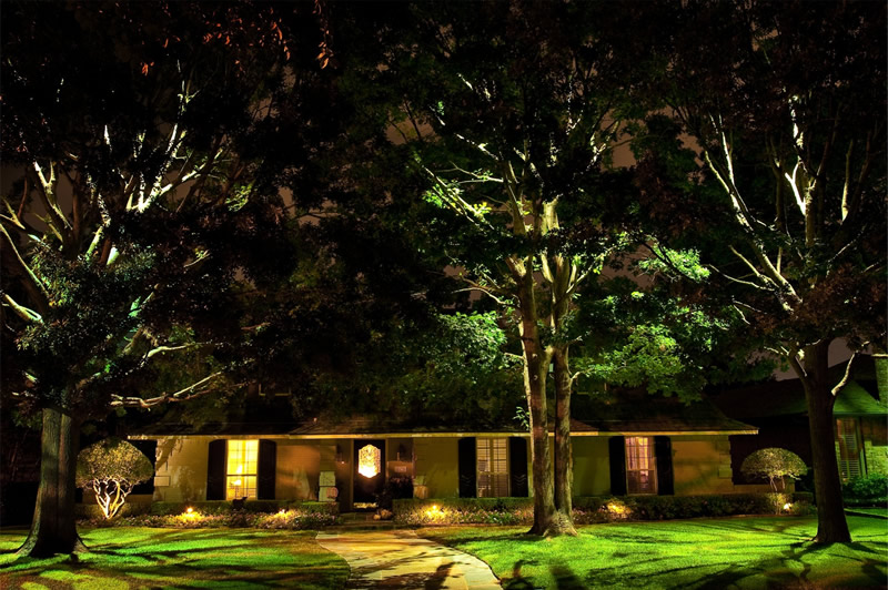 Landscape Lighting Supply Company, How To Put Landscape Lights In Trees